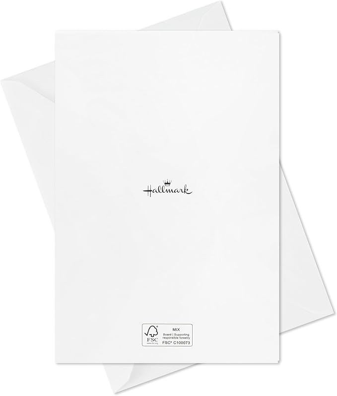 Hallmark Assorted Birthday Cards with Envelopes (20 Card Refill Pack for Organizer Box)