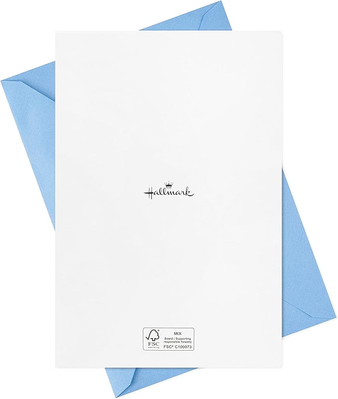 Hallmark Birthday Cards Assortment, Disco Party (16 Cards with Envelopes)