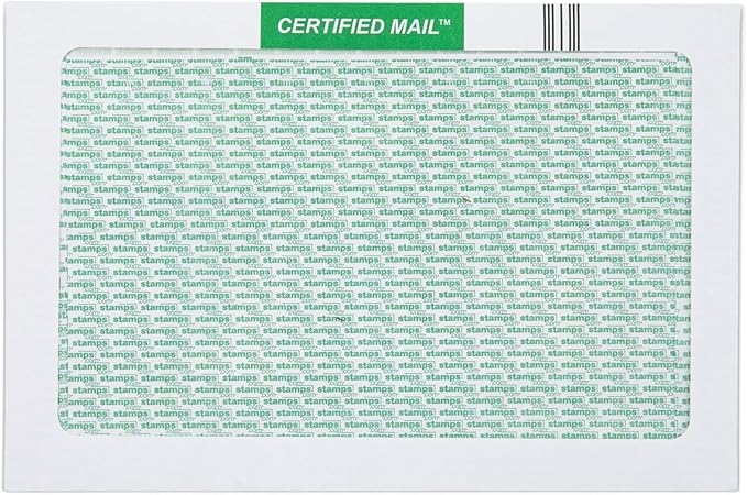 Certified Mail Envelopes - 200 Pack, Window Envelopes 9" x 12" | Best for Mailing Oversized Documents, Certified Mail, and Important Legal Correspondence