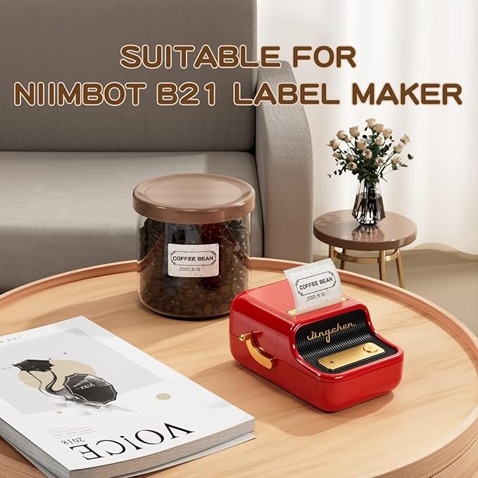 NIIMBOT Label Maker Tape, 1.57" x 1.18" (40×30 mm) Printer Sticker Paper with Self-Adhesive for B1/B21/B3S/K3 Label Maker,1 Roll of 230 (Clear)