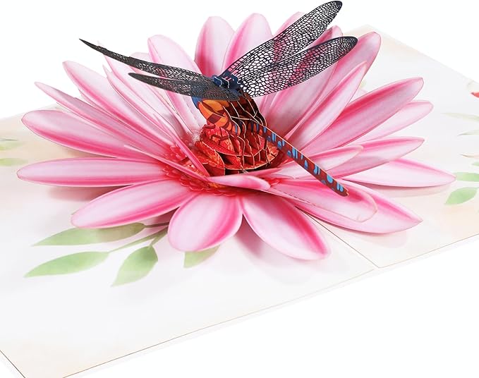 Pop Up Birthday Cards, Dragonfly and Gerbera Daisies Flower 3D Birthday Card for Women, Happy Mother’s Day Card, Valentines Day Card for Mom, Wife, Sister, Wife, Grandma, Daughter, Girlfriends