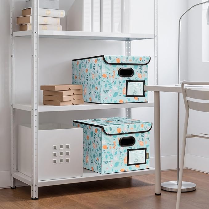 BALEINE File Organizer Box with Lid, Collapsible File Folder Organizer with Plastic Slide, Hanging File Folder Box for Office Document Storage (2 Pack, Spring Stroll)