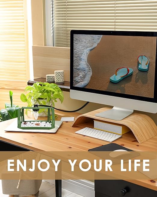 TINDTOP 32 Pack 6" Replacement Glue Boards for Terro T230 T231, Indoor Glue Boards Refill Sticky Cards Compatible with Terro T230 T231