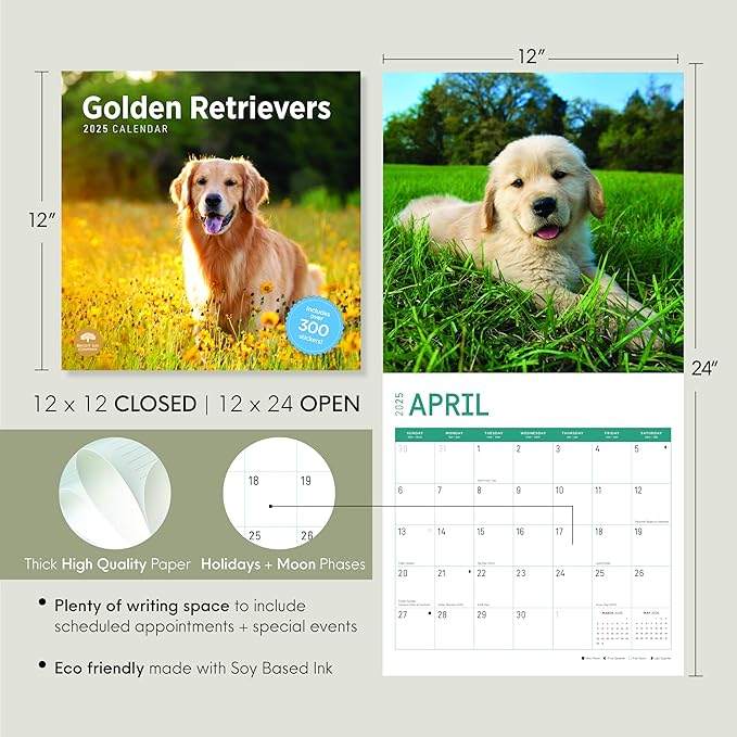 2025 Golden Retrievers Monthly Wall Calendar by Bright Day, Includes Over 300 Stickers, 12 x 12 Inch