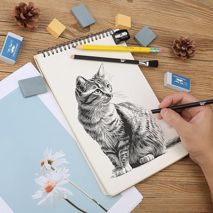 Mr. Pen Art Eraser Set - 12 Pcs, Kneaded & Gum Erasers for Artists