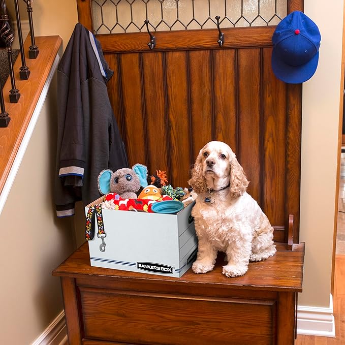 Bankers Box 12 Pack Standard Duty File Storage Boxes, Standard Assembly, Removable Lid, Letter/Legal (0071301)