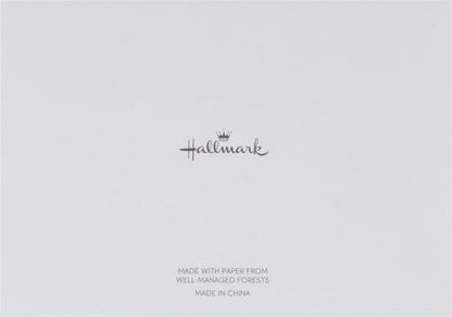 Hallmark Thank You Notes (Silver Foil Script, 40 Cards and Envelopes)