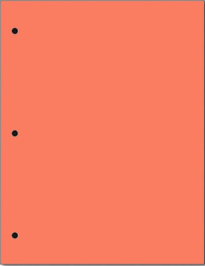 Copy And Printing Color Paper, 20 Lb. 3 Hole Punch 500 Sheets Per Ream. (Salmon)
