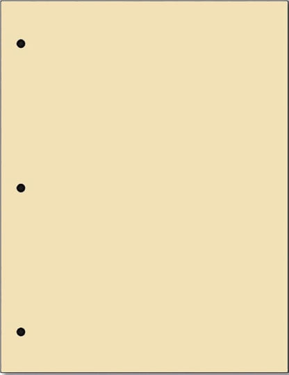 Copy And Printing Color Paper, 20 Lb. 3 Hole Punch 500 Sheets Per Ream. (Tan)