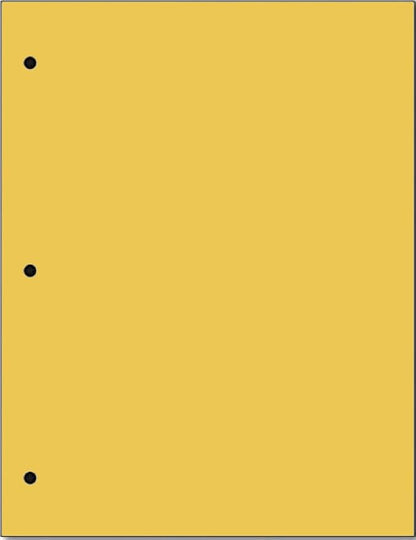 Copy And Printing Color Paper, 20 Lb. 3 Hole Punch 500 Sheets Per Ream. (Gold)