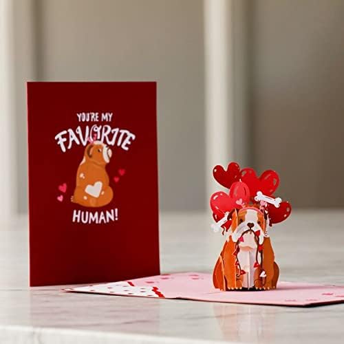 Lovepop Everyday Pop-Up Card for Her, Him, Girls, Boys - 3D Love Greeting Cards - Favorite Human - 5" x 7" - Blank Note Card & Envelope Included