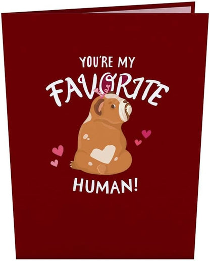 Lovepop Everyday Pop-Up Card for Her, Him, Girls, Boys - 3D Love Greeting Cards - Favorite Human - 5" x 7" - Blank Note Card & Envelope Included