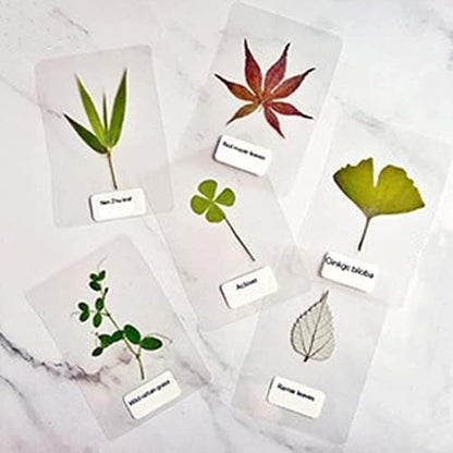 Coopaty Thermal Laminating Pouches, 9 x 11.5-Inches, 3 Mil Thick, Clear Laminating Sheets (100 Pack)