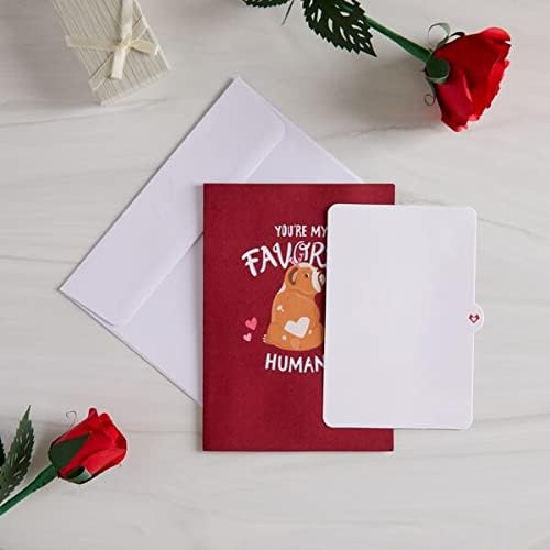 Lovepop Everyday Pop-Up Card for Her, Him, Girls, Boys - 3D Love Greeting Cards - Favorite Human - 5" x 7" - Blank Note Card & Envelope Included