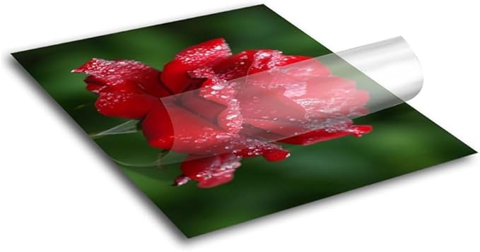 Frisco Craft Transparent Self Adhesive Laminating Roll - Self Laminating Sheets for Decals, Sticker, Photos & More - No Heat Sealing, Glossy, Clear Sheets (12" x 10 ft)