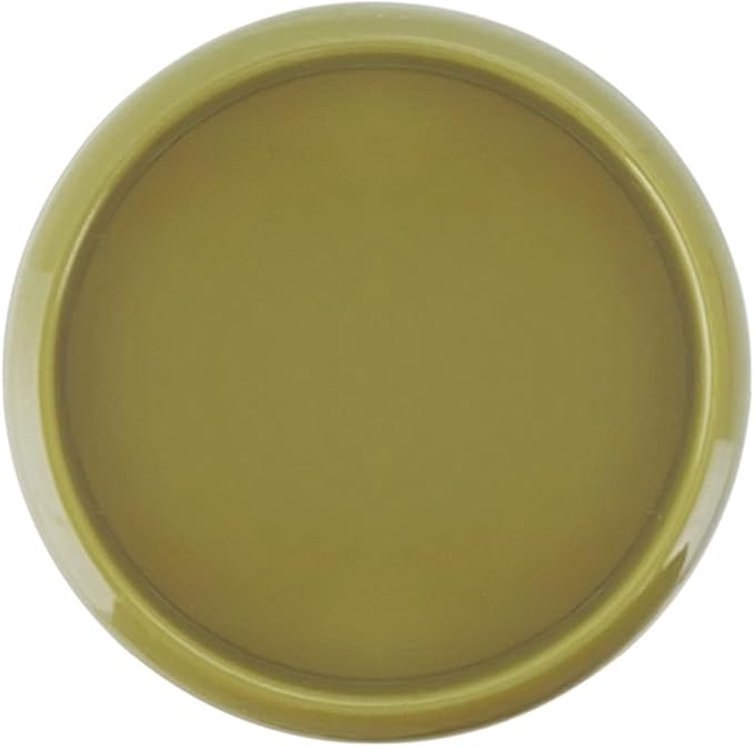 100PCS Discbound Notebook Accessories Expansion Planner Discs Binder Rings Loose-Leaf Plastic Book Binding Disc(Green,0.9"/24 mm)