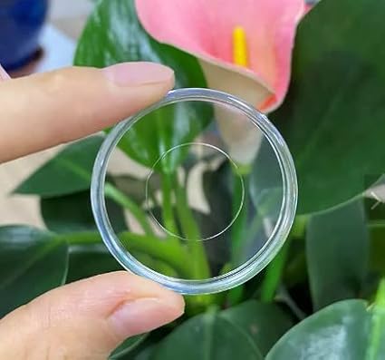 Discbound Expansion Discs, 1.1 Inch, Suitable for Customized Discbound Notebooks Planners Journals Scrapbooking, Fits All Disc Bound Planner Systems, Plastic, Clear Pack of 11