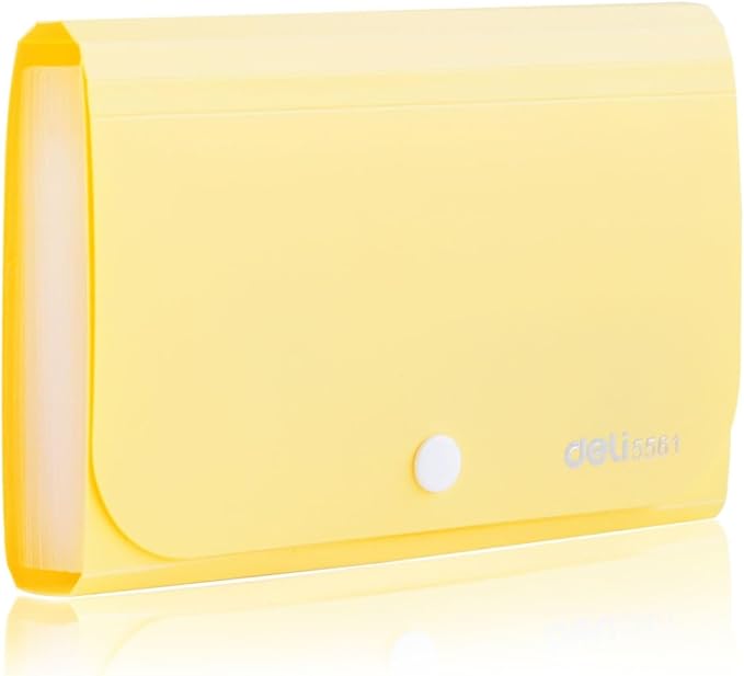 Expanding File Folder, Subdivision Accordion File Folder Mini Organizer PP Wallet for Cards,Coupons,Receipt,Tax Item or Changes,7x4.5 Inches,12 Pockets with Tabs and Check Case(Set 4)