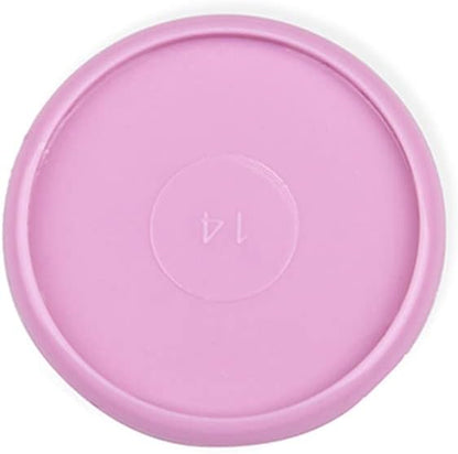 Talia Discbound Notebook - Discs (Spring Pink, 1.25inch)