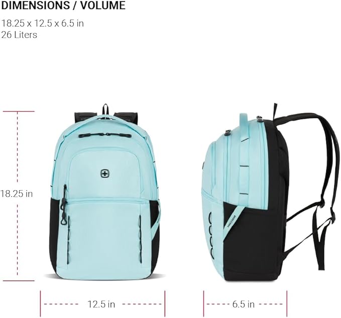 SwissGear Versa, Clear Sky, 17.75-Inch