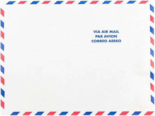 JAM PAPER Tyvek Tear-Proof Open End Catalog Envelopes - 10 x 13 - White Airmail - 25/Pack