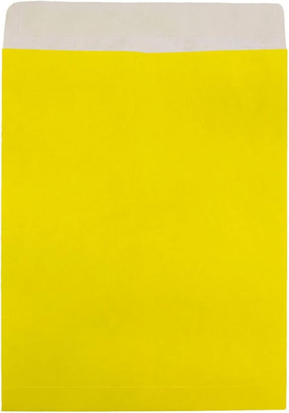 JAM PAPER Tyvek Tear-Proof Open End Catalog Envelopes - 10 x 13 - Yellow - 25/Pack