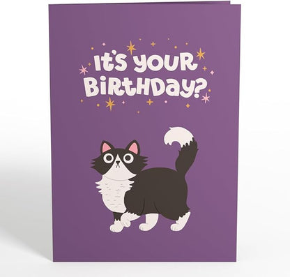 Lovepop Happy Birthday Pop-Up Card for Her and Him- 3D Greeting Cards for Boys, Girls, Men, Women - Your Gift Is in the Litterbox - 5" x 7" Cat Card - Blank Note Card & Envelope Included