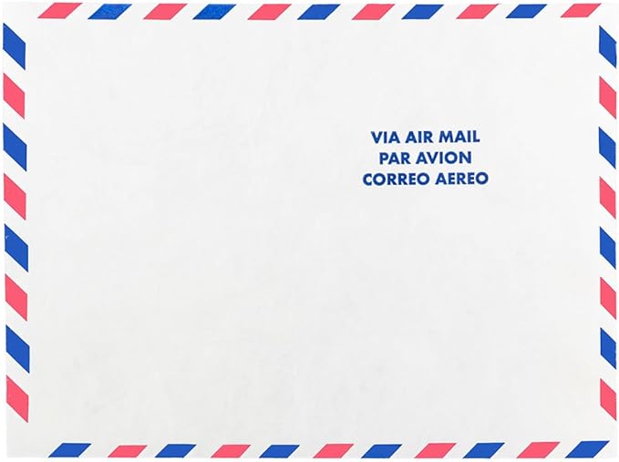 JAM PAPER Tyvek Tear-Proof Open End Catalog Envelopes - 9 x 12 - White Airmail - 25/Pack