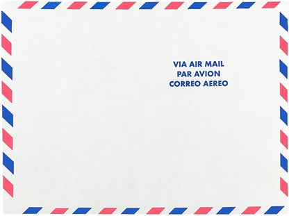 JAM PAPER Tyvek Tear-Proof Open End Catalog Envelopes - 9 x 12 - White Airmail - 25/Pack