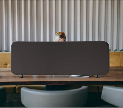 Desk Divider, Portable Desktop Privacy Panels Partition for Study, Home Office, Workplace, Students, Free Standing, Anti-Scratch, 48"x18", Iron