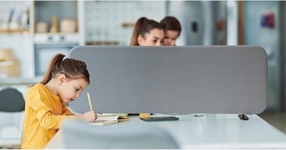 Desk Dividers, Portable Table Partition Screen Panel for Office, Workspace, Classroom, Student, Freestanding, Scratch Resiatance, 48"x18", Steel