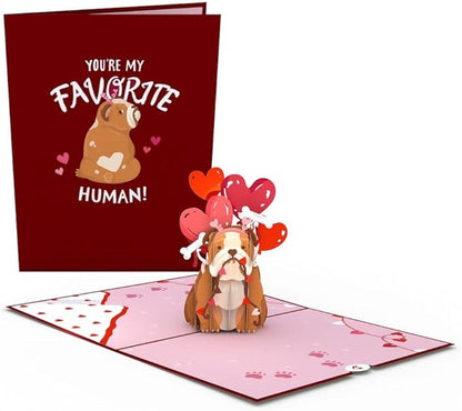 Lovepop Everyday Pop-Up Card for Her, Him, Girls, Boys - 3D Love Greeting Cards - Favorite Human - 5" x 7" - Blank Note Card & Envelope Included