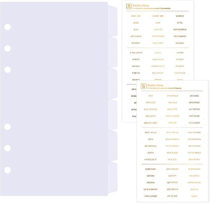 DY.2ten Clear Dividers for 6 Ring Binder, 6-Tab Sturdy Plastic Dividers, A6 Index Divider, 6 Hole Binder Dividers, Insertable Notebook Planner Tab Dividers for Binders