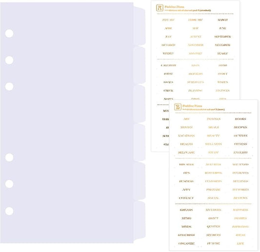 DY.2ten Clear Dividers for 6 Ring Binder, 6-Tab Sturdy Plastic Dividers, A6 Index Divider, 6 Hole Binder Dividers, Insertable Notebook Planner Tab Dividers for Binders