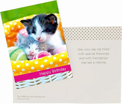 Paper Craft IG98638-RE Religious Birthday Card Assortment Box Set with Envelopes, 12 Cards, 4.75'' W x 6.5'' H, Cupcake, Kitten, Landscape, and Floral Photography