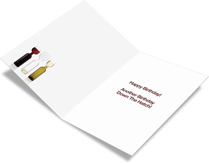 NobleWorks - Funny Happy Birthday Card with Envelope - Colorful Humor Card, Greeting Note - Wine Glass Needs 9978