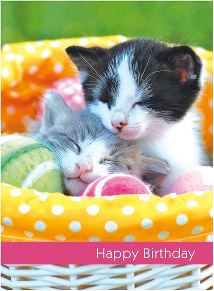 Paper Craft IG98638-RE Religious Birthday Card Assortment Box Set with Envelopes, 12 Cards, 4.75'' W x 6.5'' H, Cupcake, Kitten, Landscape, and Floral Photography