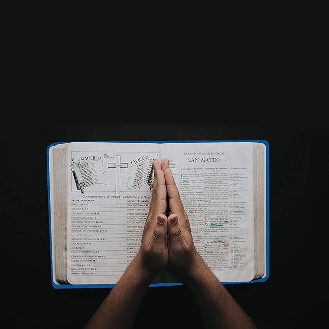 2 Pack Stretchable Book Sleeve Covers, for Paperbacks Hardcover Textbooks up to 9" x 12", Office Supplies with Free Sticker Labels (2 Pack, Pink + Blue)