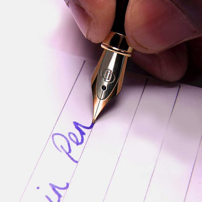 Dryden Designs Fountain Pen Medium Nib Gift Pouch - with 24 Ink Cartridges - MCM (Metallic Silver)