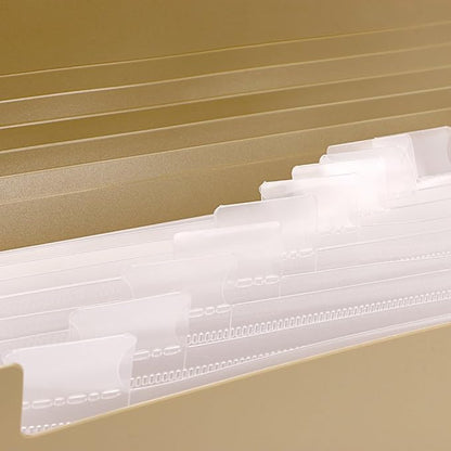 BTSKY Expanding File Folder -13 Pockets Small Accordion File Folder Expandable Card Ticket Holder File Storage Folder Check Bill File Folder Plastic Business Document Organizer Wallet Case, Khaki