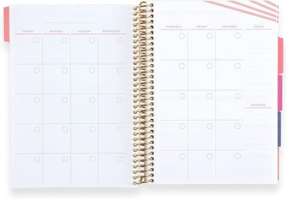 A5 Spiral Bound Fitness Planner – Metallic Gold Rise - 5 Tabs with 160 Pages for Exercise Planning with Intro, Goal Setting, Movement, Progress Check-Ins, Notes & more - Erin Condren
