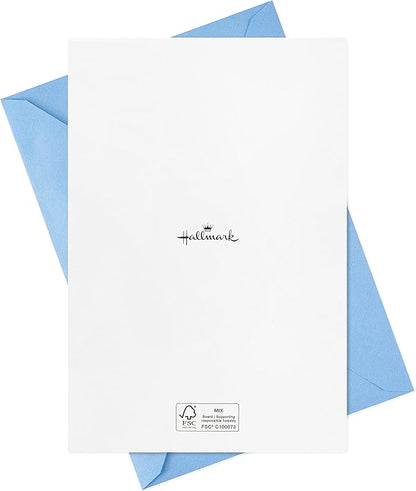 Hallmark Birthday Cards Assortment, Disco Party (16 Cards with Envelopes)