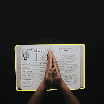 2 Pack Stretchable Book Sleeve Covers, for Paperbacks Hardcover Textbooks up to 9" x 12", Office Supplies with Free Sticker Labels (2 Pack, Black + Yellow)