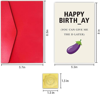 Hint Dirty D Birthday Card for Boyfriend Husband, Funny Birthday Card for Men Him, Give Me The D Late Card