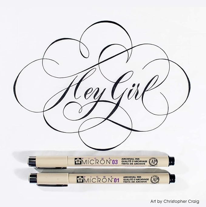 SAKURA Pigma Micron Fineliner Pens - Archival Black Ink Pens - Pens for Writing, Drawing, or Journaling - Assorted Point Sizes - 10 Pack