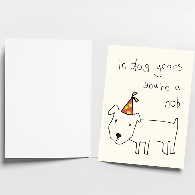 Funny Birthday Cards for Men, Women, Brother, Sister, Dad, Mom, Husband, Friend, and Anyone | Humorous Gifts | Unique Birthday Decoration