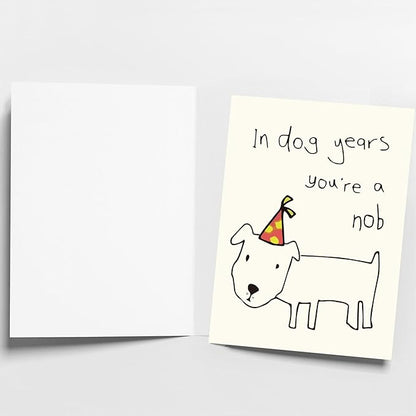 Funny Birthday Cards for Men, Women, Brother, Sister, Dad, Mom, Husband, Friend, and Anyone | Humorous Gifts | Unique Birthday Decoration