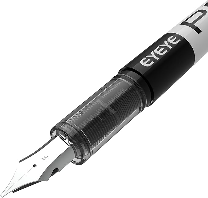 EYEYE Fountain Pens for Writing, 8 Pack Assorted Colors Fine Point Disposable Fountain Pens Stainless Steel Nib, Smooth Writing for Calligraphy, Journaling, Drafting, Sketching, Doodling & Gifts