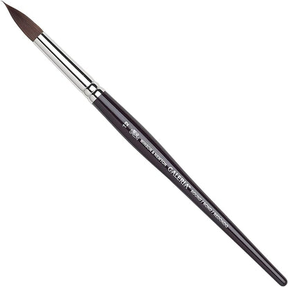 Winsor & Newton Galeria Round Short Handle Brush, Size 12