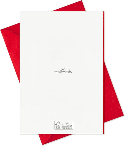 Hallmark Valentine's Day Card Assortment Pack for Adults, Friends, Galentines (12 Unique Designs with Envelopes)